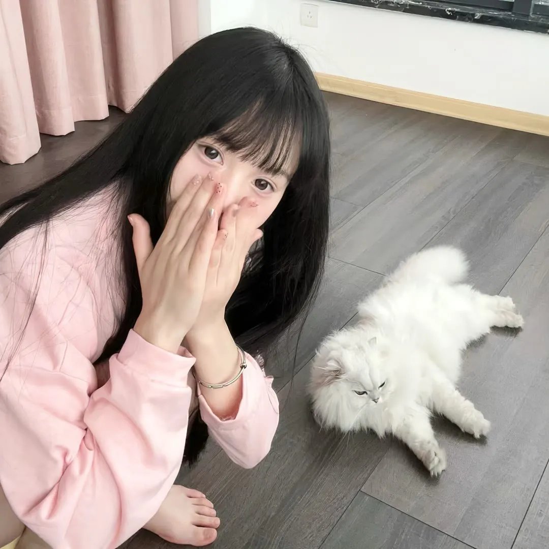 综艺纪录